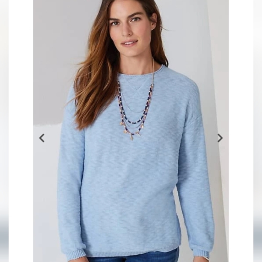 J Jill Soft Sweatshirt Sweater pale blue sweater 2x